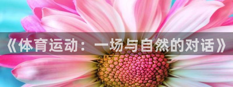 vsport体育
