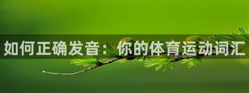 vsport体育在线官网