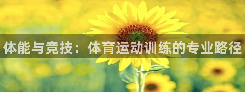 vsport体育在线官网