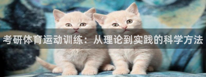 vsport体育在线官网