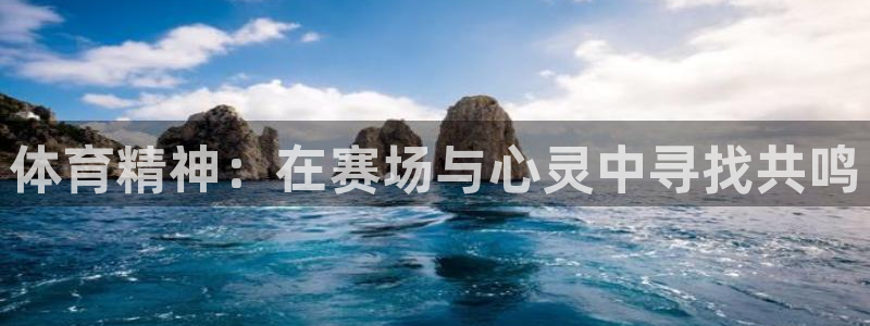vsport体育在线官网