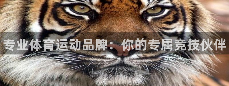 vsport体育在线官网